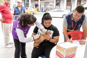 La vacunación antirrábica beneficia mascotas y también a sus dueños