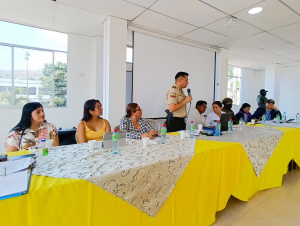 Consejo de Seguridad Ciudadana se reúne