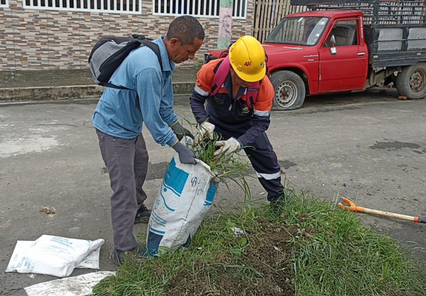 Minga de Destrucción de Criaderos de Mosquitos: Un Esfuerzo Comunitario Contra el Dengue