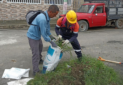 Minga de Destrucción de Criaderos de Mosquitos: Un Esfuerzo Comunitario Contra el Dengue