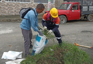 Minga de Destrucción de Criaderos de Mosquitos: Un Esfuerzo Comunitario Contra el Dengue
