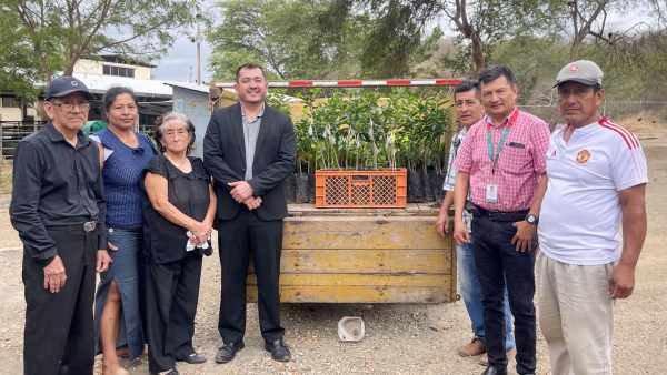 325 nuevas plantas llegaron al Recinto Ramo Grande de nuestra parroquia La América: 250 de cacao y 75 de cítricos.