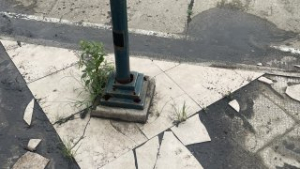 "Robo de cables deja sin energía al parque Los Ceibos: Municipio y Policía refuerzan seguridad y piden colaboración ciudadana"