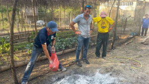 Fomento Productivo impulsa huertos comunitarios en La Merced