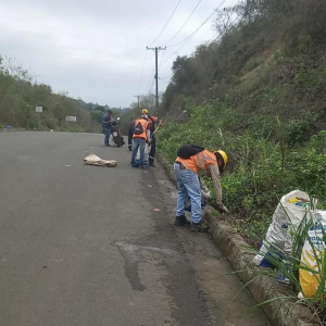 Dirección de Residuos Sólidos y Ambiente realizo limpieza de vía