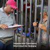 ¡A Limpiar los patios baldíos!