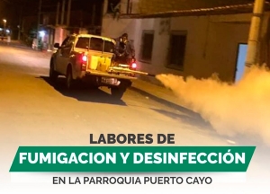 Fumigación y Desinfección Puerto Cayo