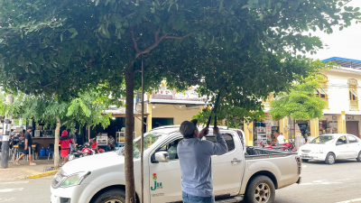 Nuestro equipo realizó mantenimiento arbóreo en el centro de la ciudad