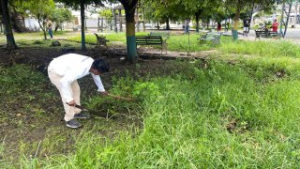 Mantenimiento parque Cdla. Luis Bustamante