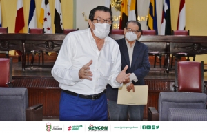 Elección de comisión para elegir Representantes Ciudadanos y Municipales