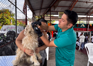 La brigada veterinaria llegó a la Cdla. 3 de Mayo.