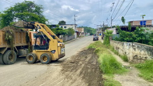 Desbroce de maleza en el puente de la ciudadela Luis Bustamante