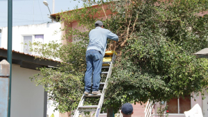 Desarrollamos minga de limpieza