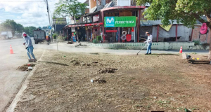 Gestión Ambiental realizadas en beneficio de nuestra comunidad