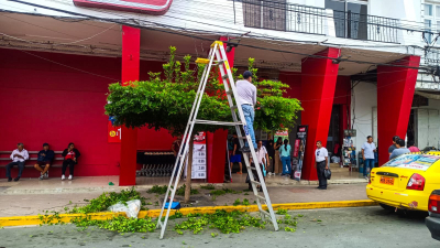 Gestión Ambiental ejecuta limpieza en principales vías de la ciudad