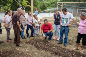 ¡Nuestros adultos mayores siguen cultivando conocimientos y cosechando bienestar!