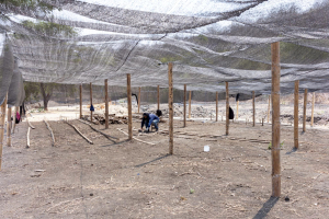 Comienzan los trabajos para la repotenciación del Vivero Municipal