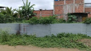 Sabías que tener tu terreno lleno de maleza, es una contravención