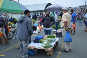 Gran actividad en la Feria Libre Campesina