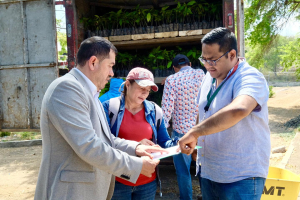 Mil plantas para fortalecer la producción y cuidar nuestro ambiente
