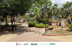 Mantenimiento de Parques y Áreas Verdes