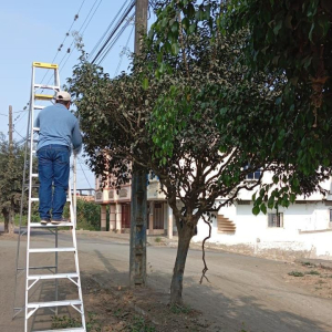 Municipalidad de Jipijapa Impulsa el Mantenimiento de Áreas Verdes en la Avenida del Café.